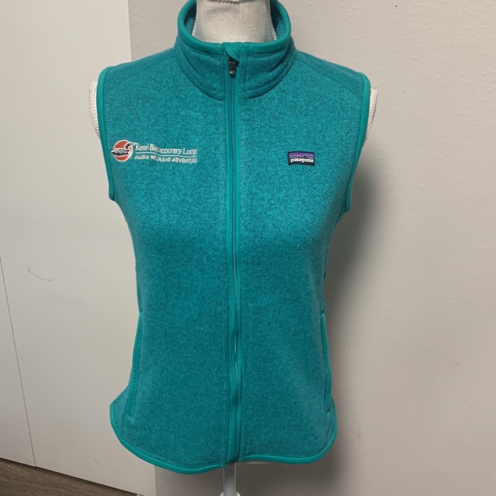 Patagonia Better Sweater Fleece Vest